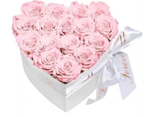 baby pink roses valentines day gifts