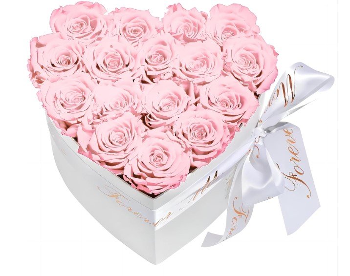 baby pink roses valentines day gifts